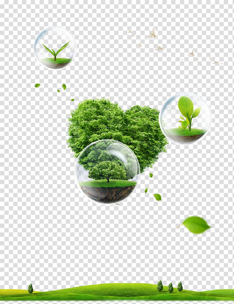 Poster Environmental protection Natural environment Nature Global warming, Green grass trees transparent background PNG clipart