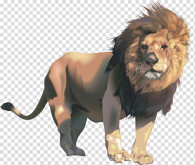 Mighty Lions , Lions Head transparent background PNG clipart