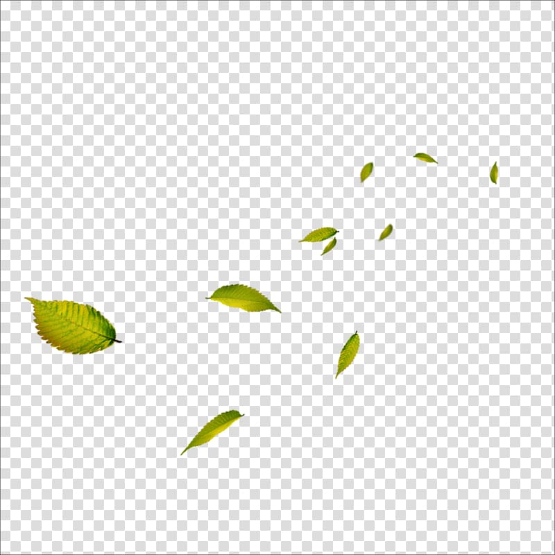 Leaf Google , leaf transparent background PNG clipart