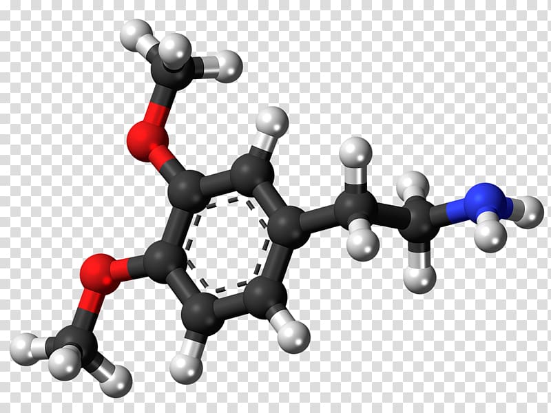 Dopamine receptor Neurotransmitter Norepinephrine Oxidopamine, Brain transparent background PNG clipart