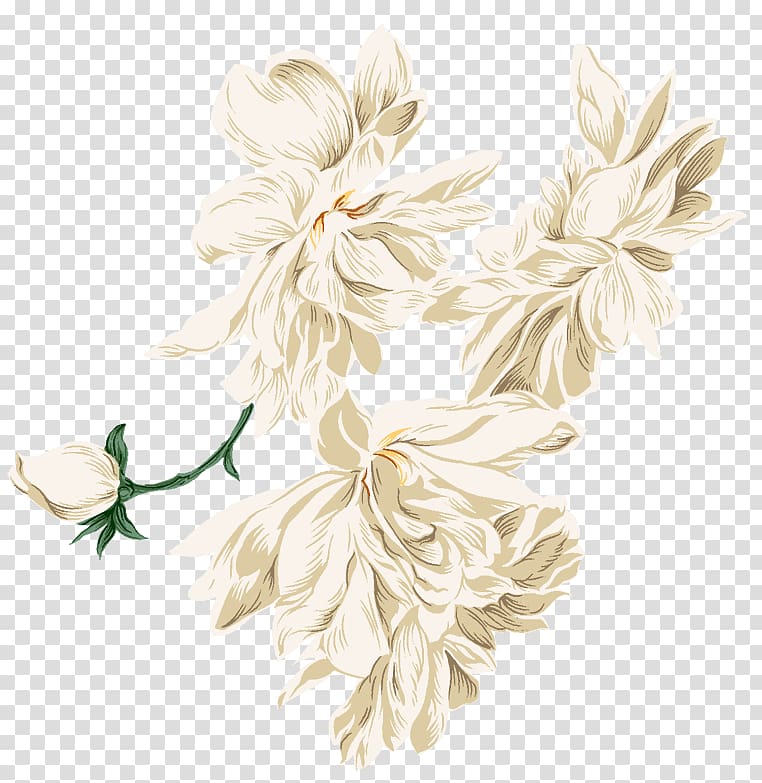 Forbidden Flowers: More Womens Sexual Fantasies, White Peony transparent background PNG clipart