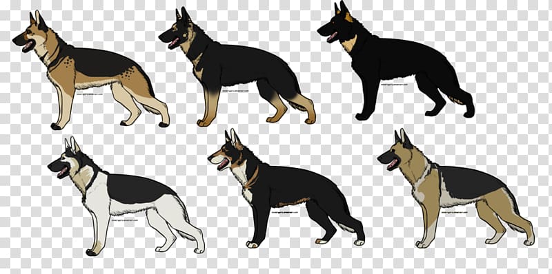 German Shepherd Australian Kelpie Puppy Dog breed Pet, shepherd transparent background PNG clipart