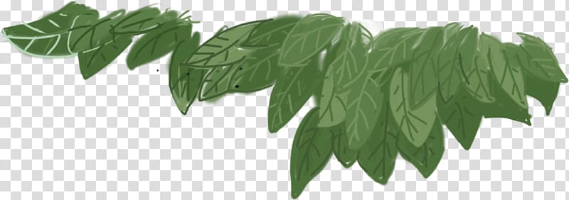 Leaf Green , Painted green leaves transparent background PNG clipart