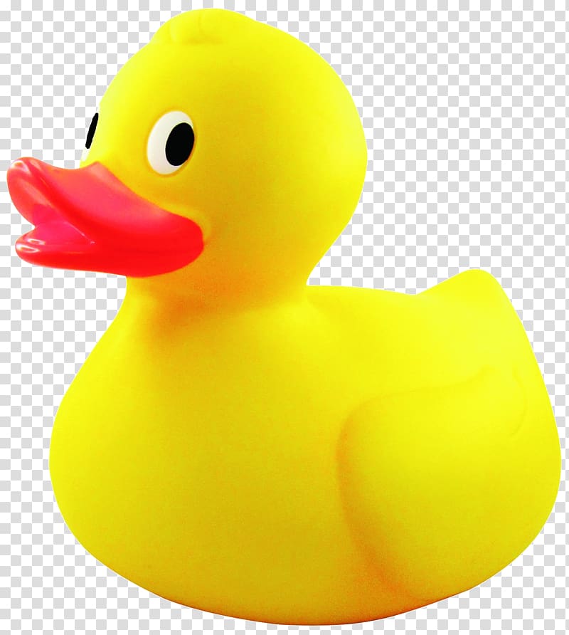 Rubber Duck , duck, yellow rubber duckie transparent background PNG clipart