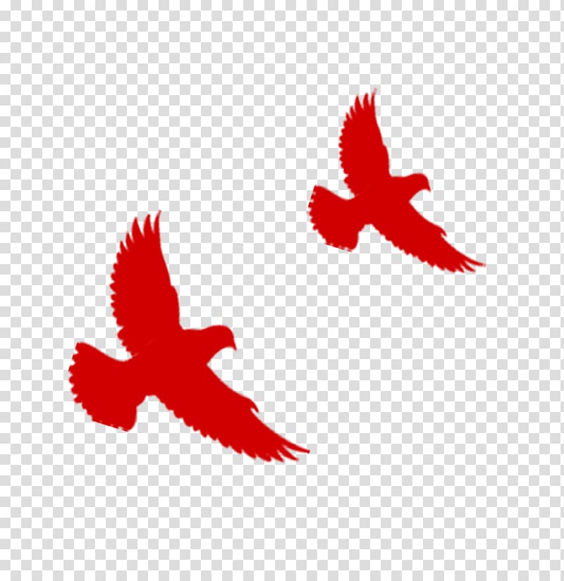 Flight Hongmian Bird Red, Red Flying Eagles transparent background PNG clipart