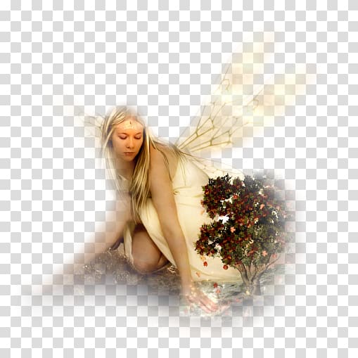 Fairy Féerie Myth Character Angel, Fairy transparent background PNG clipart