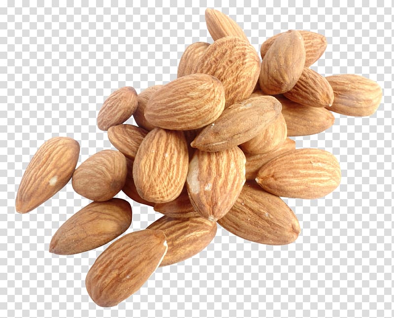 brown nuts illustration, Nut Almond, Almond Nut transparent background PNG clipart