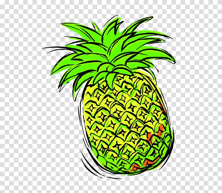 Pineapple Auglis, Creative painted pineapple transparent background PNG clipart