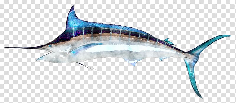 Swordfish Billfish, watercolor elk transparent background PNG clipart