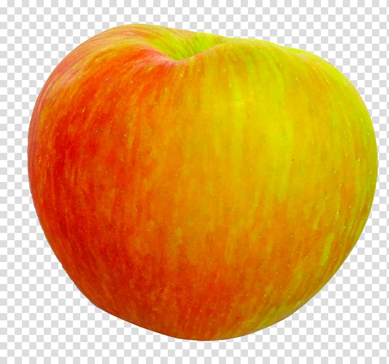 Apple Honeycrisp Food Fruit McIntosh, apple fruit transparent background PNG clipart