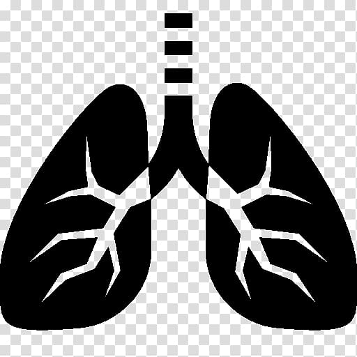 Computer Icons Lung Breathing Organ, others transparent background PNG clipart