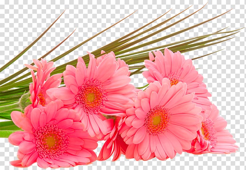Flower bouquet Desktop Display resolution High-definition television, chrysanthemum transparent background PNG clipart