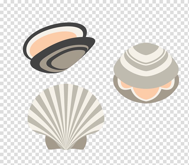 Seashell Euclidean , seashell shell material transparent background PNG clipart