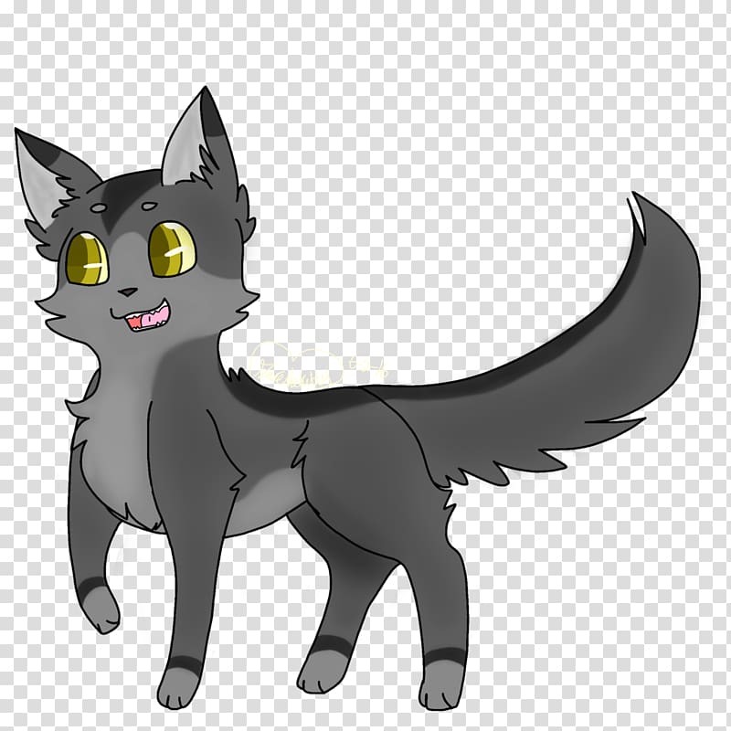 Whiskers Black cat Warriors Graystripe, Cat transparent background PNG clipart