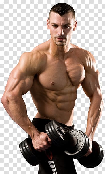 Bodybuilding transparent background PNG clipart