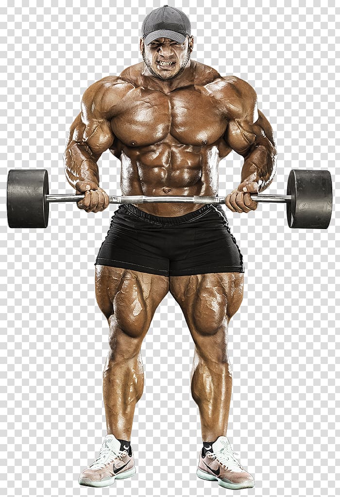 2017 Mr. Olympia Arnold Sports Festival 2016 Mr. Olympia 2014 Mr. Olympia 2015 Mr. Olympia, bodybuilding transparent background PNG clipart