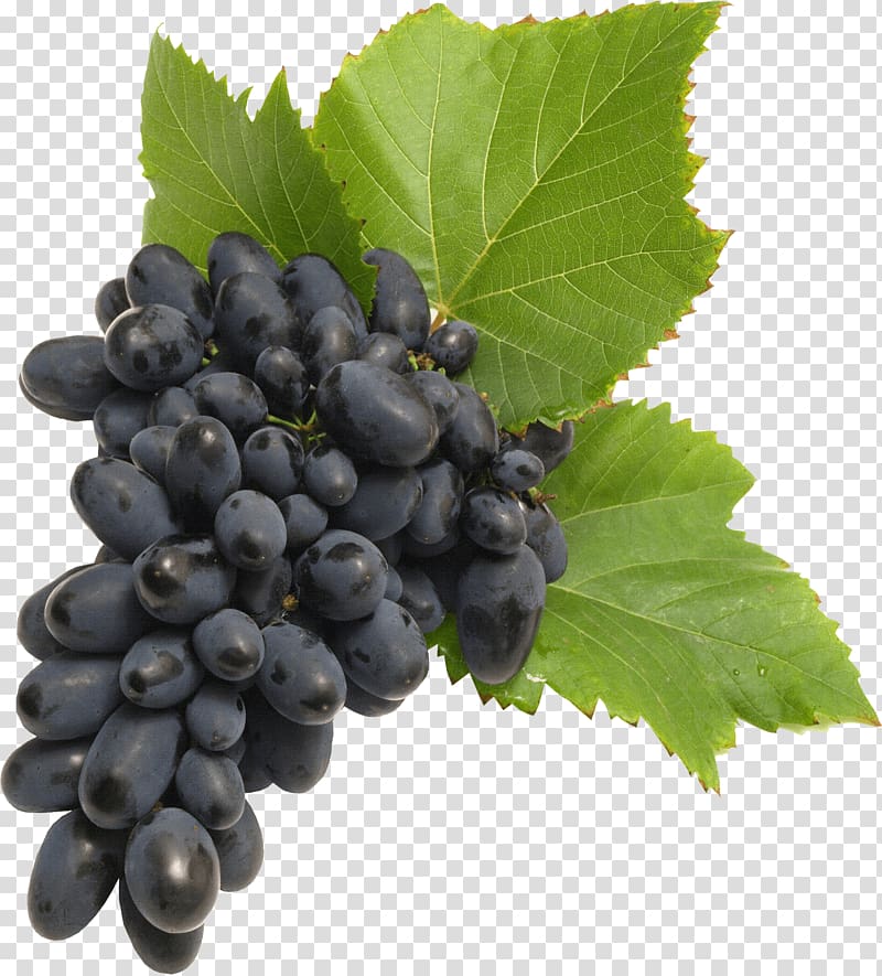 Common Grape Vine, Grape transparent background PNG clipart