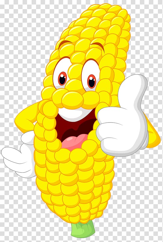 Corn on the cob Maize , vegetable transparent background PNG clipart