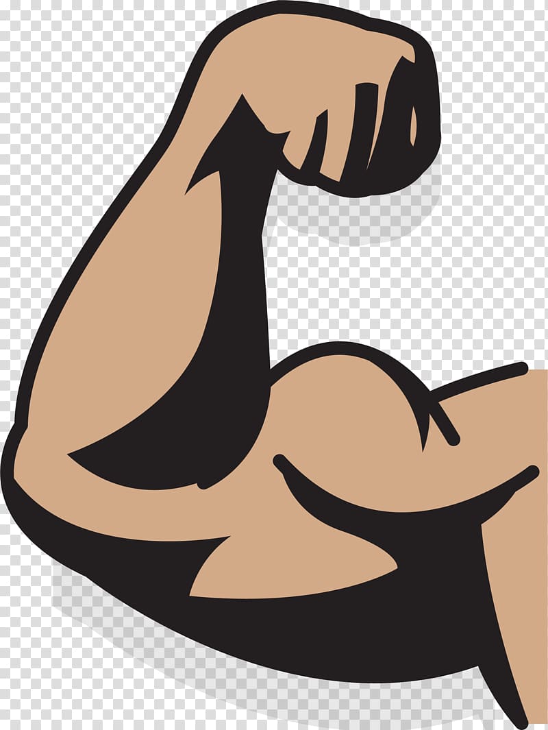 Human muscle illustration, Muscle arms Muscle arms , strong arms  transparent background PNG clipart