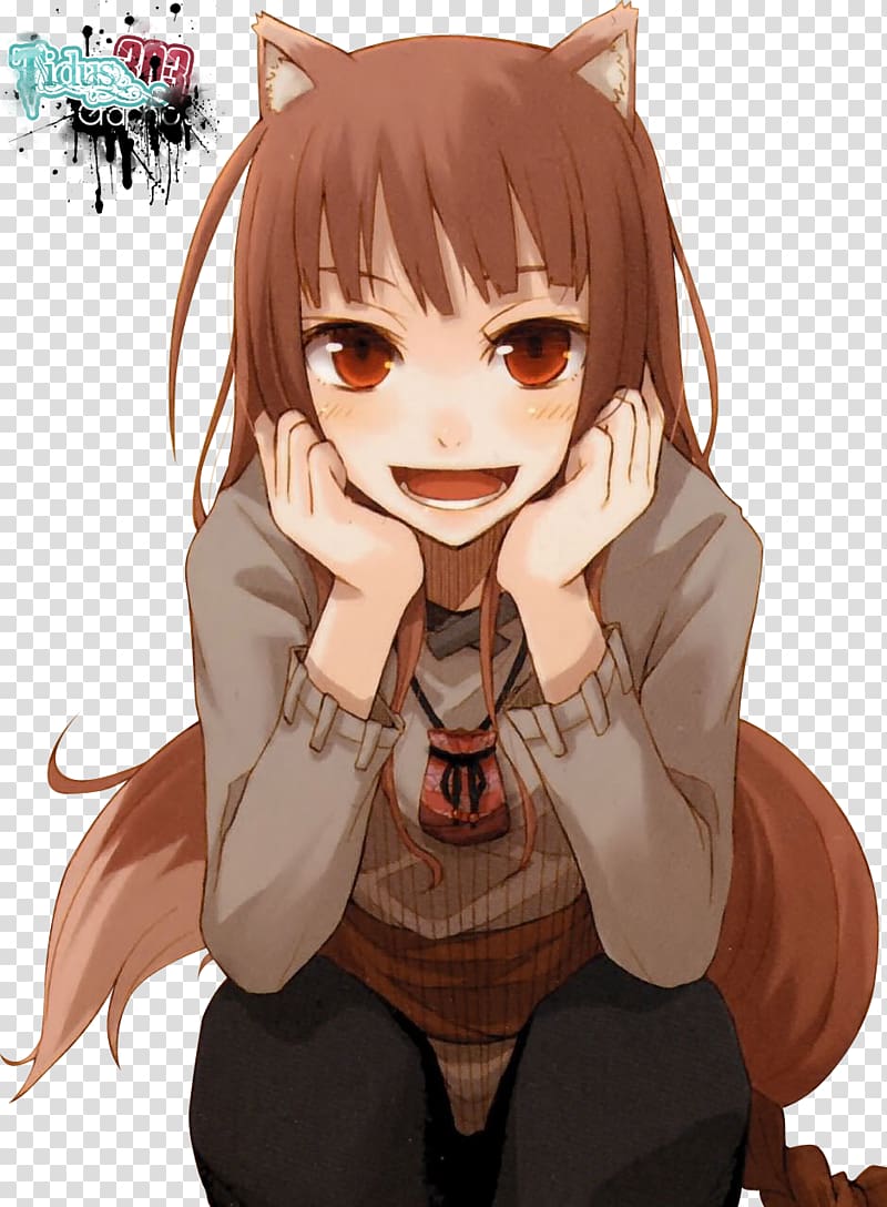 Spice and Wolf, Vol. 1 (light Novel) Spice and Wolf, Vol. 5 (light Novel) Spice and Wolf, Vol. 6 Wolf & Parchment: New Theory Spice & Wolf, Vol. 2 (light Novel) Spice and Wolf, Vol. 11 (light Novel): Side Colors II, spice and wolf transparent background PNG clipart