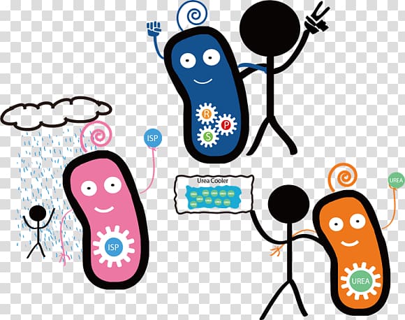 International Genetically Engineered Machine E. coli Bacteria , e. coli transparent background PNG clipart