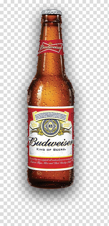 Budweiser Beer Anheuser-Busch Lager Bottle, bud lite keg transparent background PNG clipart