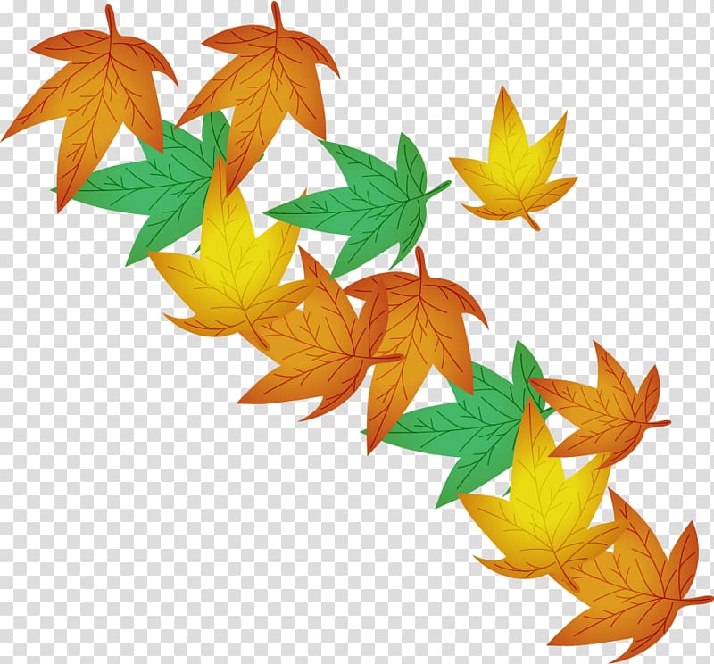 Maple leaf Illustration, Defoliation transparent background PNG clipart