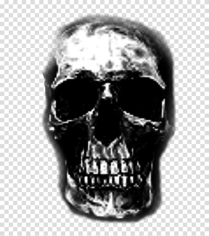 Skull Jaw, skull transparent background PNG clipart