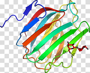Line Point Organism , line transparent background PNG clipart thumbnail