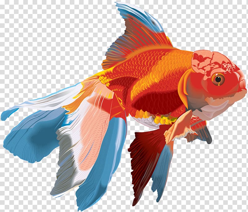 Goldfish Ink , fish transparent background PNG clipart