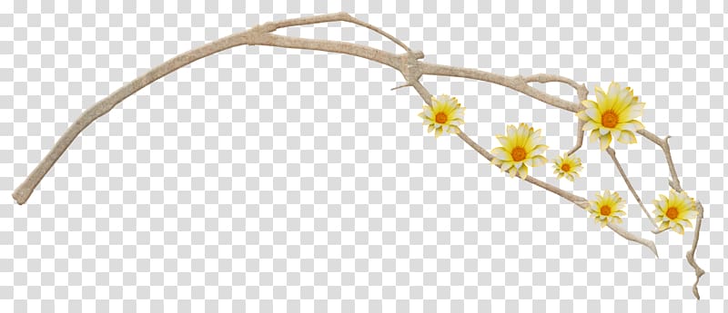 Cut flowers Branch Twig Plant stem, 35 transparent background PNG clipart