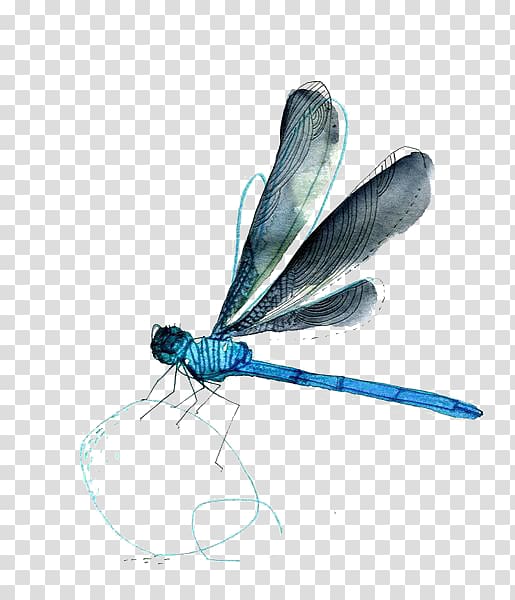 Watercolor painting Drawing Dragonfly, dragonfly transparent background PNG clipart