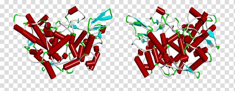 Cyclooxygenase Nonsteroidal anti-inflammatory drug Salicin Proteomics COX-2 inhibitor, others transparent background PNG clipart