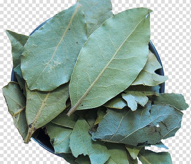 Mediterranean cuisine Bay leaf Herb Spice Bay Laurel, BAY LEAVES transparent background PNG clipart