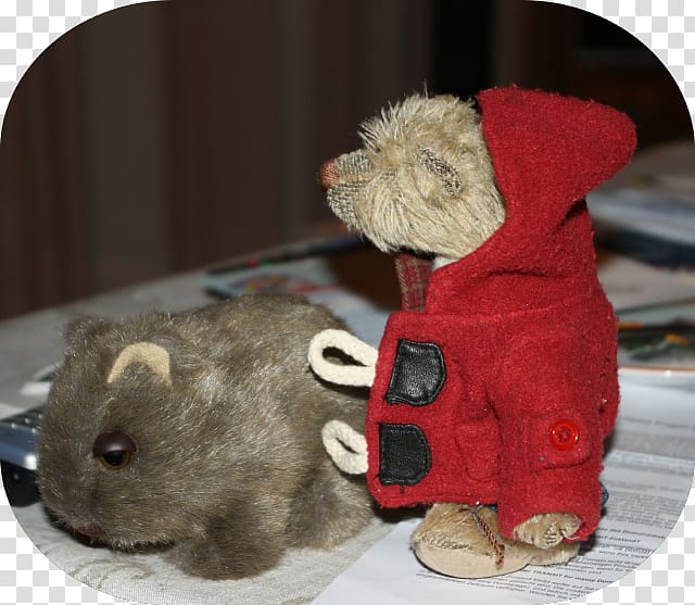 Alice Springs Wombat Outback Stuffed Animals & Cuddly Toys Travel, Wombats transparent background PNG clipart