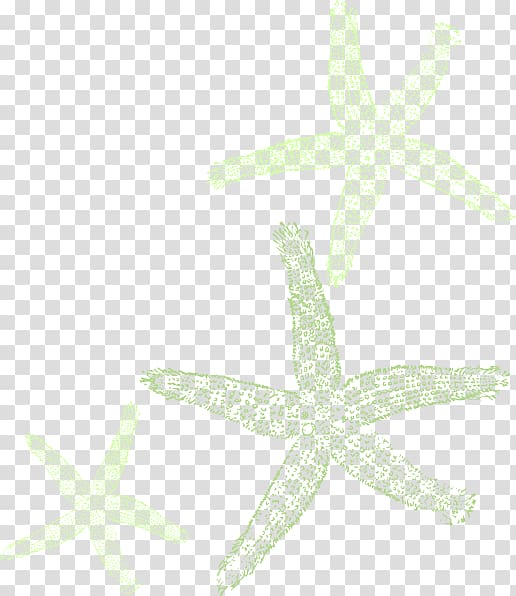 Marine invertebrates Starfish Echinoderm Animal, starfish transparent background PNG clipart