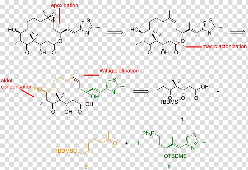 Epothilone Retrosynthetic analysis Technology, object transparent background PNG clipart