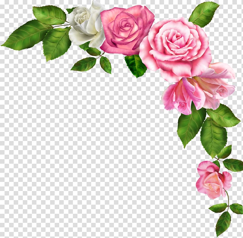 pink flowers, Borders and Frames Pink flowers , Watercolor flower transparent background PNG clipart