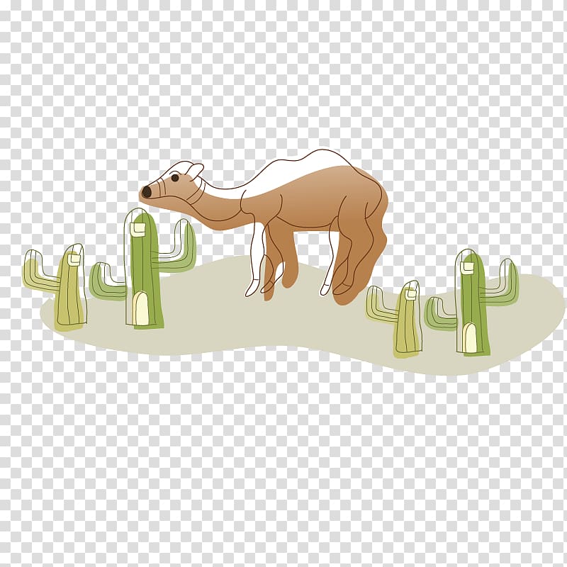 Camel Drawing Illustration, Desert Camel transparent background PNG clipart