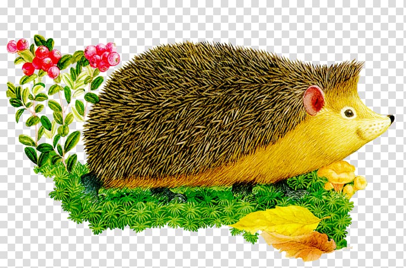 European Hedgehog Animal Alphabet for children., hedgehog transparent background PNG clipart