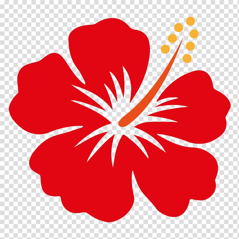 hibiscus clipart png