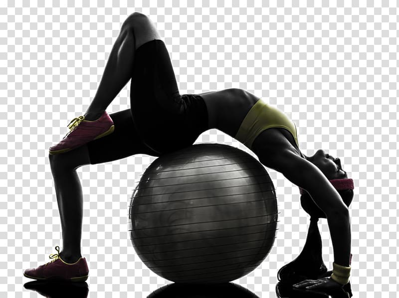 person bending on stability ball, Physical fitness Physical exercise Exercise ball Personal trainer Flexibility, Fitness movement transparent background PNG clipart