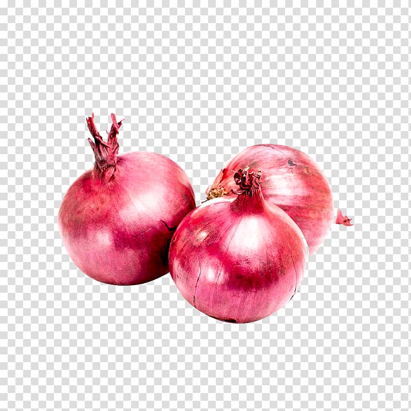 Vegetable Red onion White onion Scallion Garlic, vegetable transparent background PNG clipart