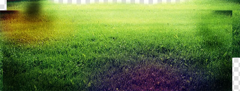 Sunlight Crop Grassland Sky Silencer, Creative green grass transparent background PNG clipart