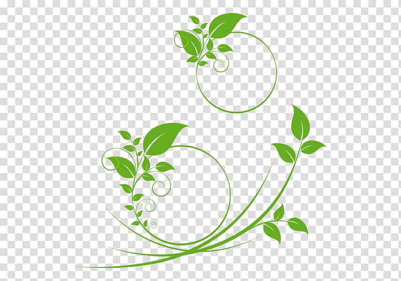 Leaf Plant stem, rama transparent background PNG clipart