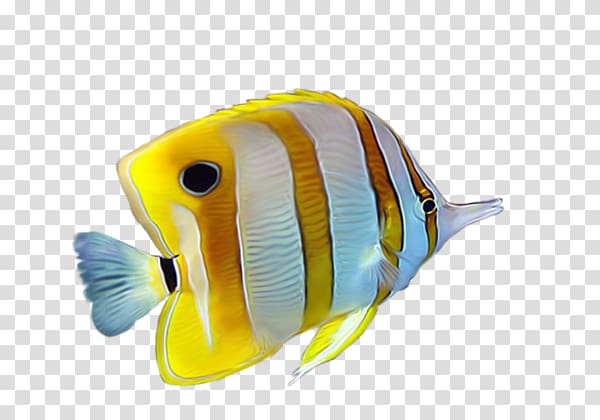 Yellow Tropical fish, Yellow striped tropical fish transparent background PNG clipart