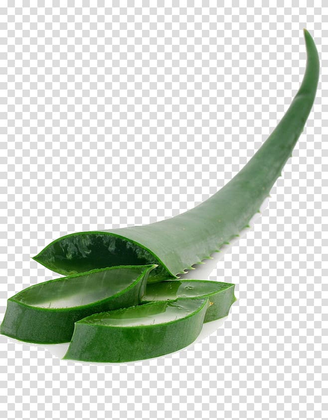Aloe vera Gel Skin Drop Cosmetics, Aloe vera material transparent background PNG clipart