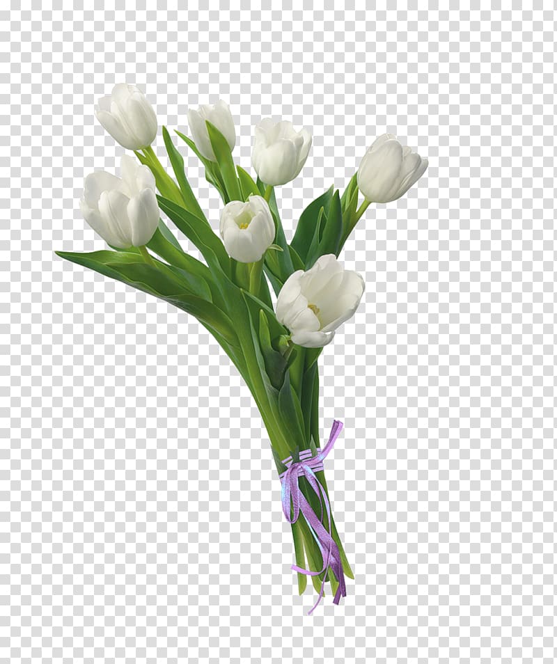Flower bouquet Tulip , tulip transparent background PNG clipart