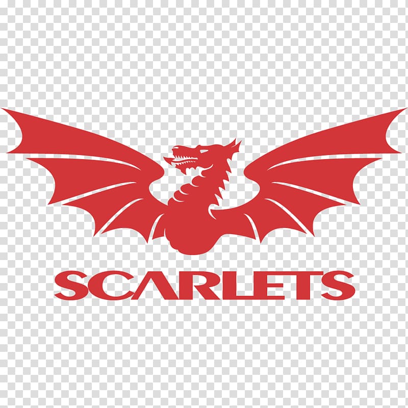 Parc y Scarlets Guinness PRO14 European Rugby Champions Cup Edinburgh Rugby, glass palace ga transparent background PNG clipart
