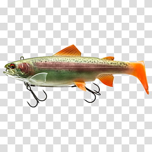 Swimbait transparent background PNG cliparts free download